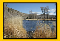 Fishing on the River near the Parshall Inn